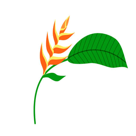 Tropical plants with a bright flowers. Vector isolated colorful illustration.のイラスト素材