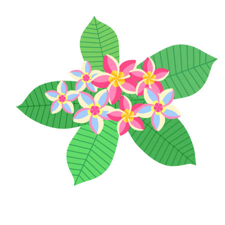 Tropical plants with a bright flowers. Vector isolated colorful illustration.のイラスト素材