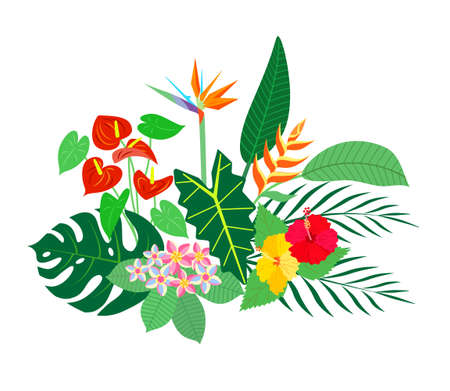 Tropical plants with a bright flowers. Vector isolated colorful illustration.のイラスト素材