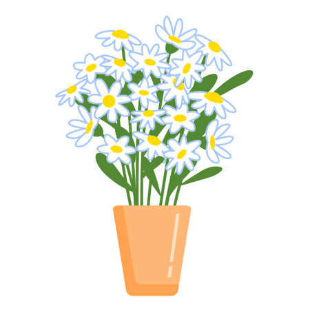 Bouquet of chamomile in the pot. Vector isolated colorful illustration in flat style.のイラスト素材