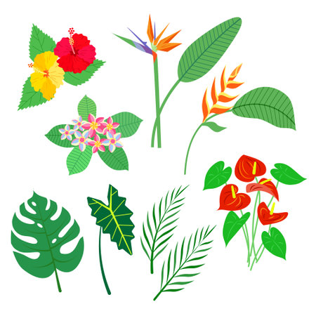 Set of tropical plants. Vector isolated colorful illustration.のイラスト素材