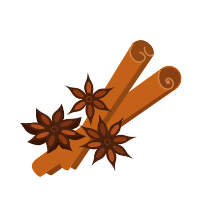 Star anise with cinnamon. Vector color isolated illustration.のイラスト素材