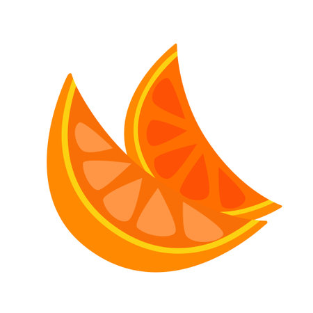 Two slices of orange. Vector color isolated illustration.のイラスト素材
