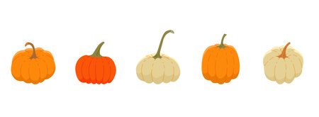 Set of pumpkins. Vector isolated color illustration.のイラスト素材