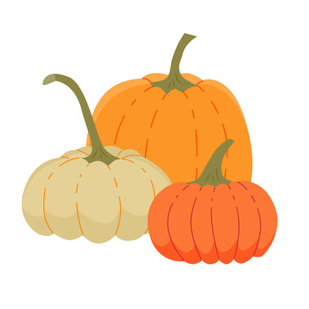 Composition of three pumpkins. Vector isolated color illustration.のイラスト素材