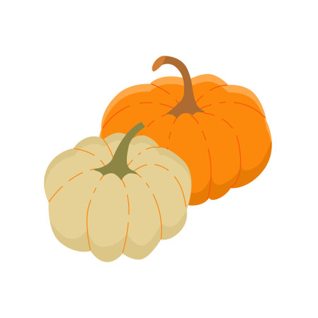 Composition of two pumpkins. Vector isolated color illustration.のイラスト素材