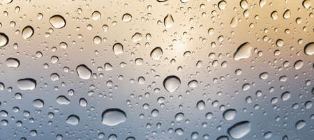 Rain dropletsの写真素材