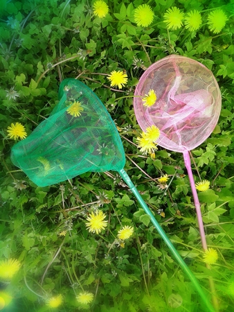 The net to catch butterfliesの写真素材