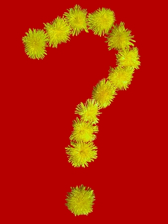 Question mark on a red backgroundの写真素材