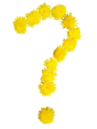 Question mark on a white backgroundの写真素材