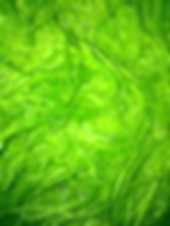 Bright background with blur effect greenの写真素材
