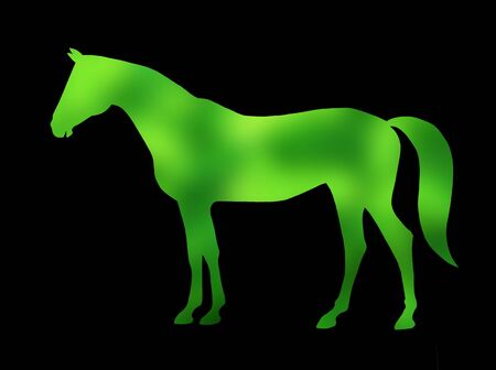 The figure of the horse on black backgroundの写真素材