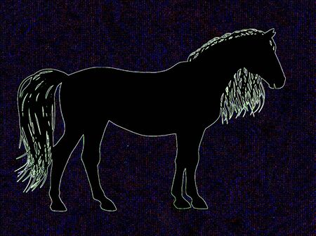 The figure of the horse on black backgroundの写真素材