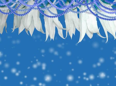 White flowers with beads on a blue backgroundの写真素材