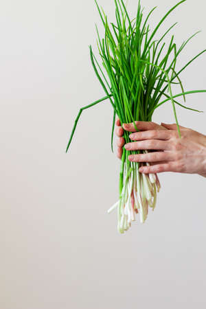 Fresh green onions in a hand girl on gray backgroundの写真素材