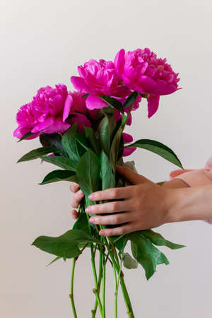 Hands holding beautiful bouquet pink peonies on light background. Summer color.の写真素材