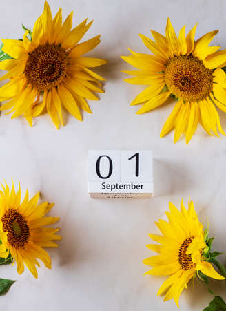 Sunflower frame with wooden calendar 1 september on marble background. Autumn conceptの写真素材