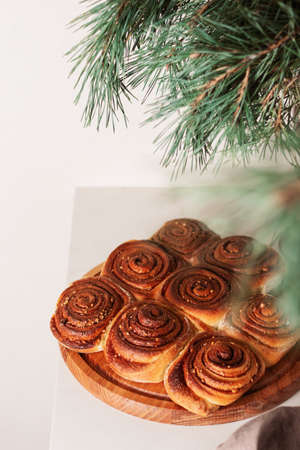 Freshly baked homemade cinnamon rolls or cinnabon for Christmas holiday against the background of pine branches. Cinnabons. Background for text.の写真素材