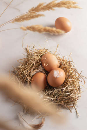 Fresh brown chicken eggs in hay nest. Healthy egg concepts