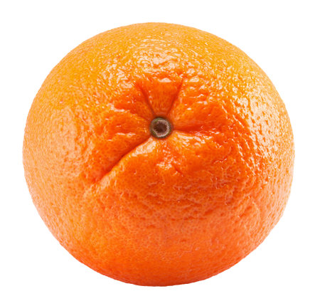 orange isolated on a white background.の写真素材