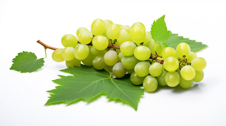bunch of green grapes.の素材
