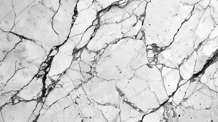 White marble texture background pattern with high resolution. Black and white.の素材