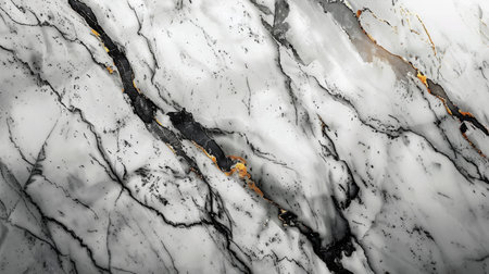 light marble background .の素材