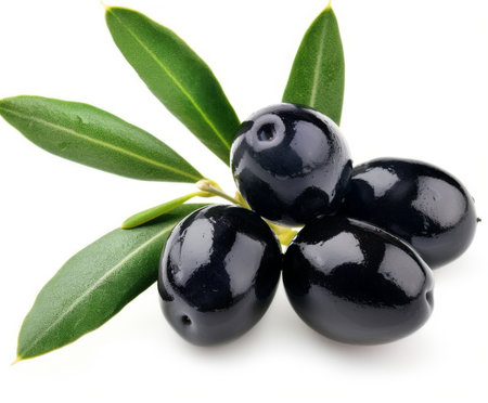 black olives on a branch with leaves on white background.の素材