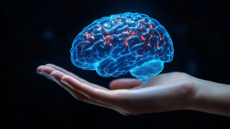 Human brain in hand on dark background. 3d rendering toned imageの素材