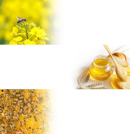 Set of Three Colorful Honey Banners with Flowers, Honeycombs and Working Beesの写真素材