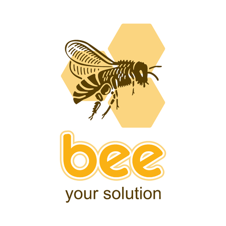 Bee on a honeycomb background is flying. Vector, icon.のイラスト素材