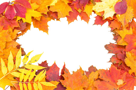Autumn leaves vignetteの写真素材