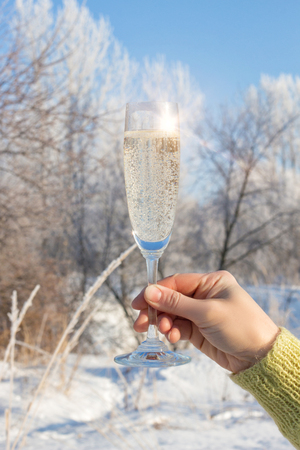 Glass of champagne on a background of winter trees.の写真素材