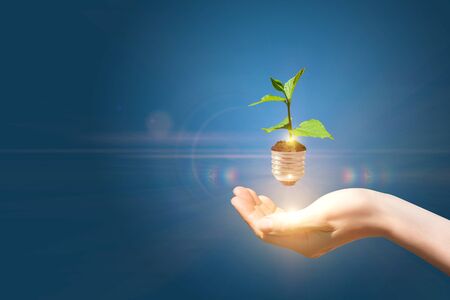 Hand holding light from sprout, green energy concept.の写真素材