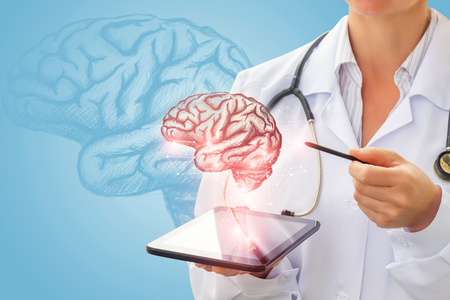 Medic shows a sketch of the brain on the tablet.の写真素材