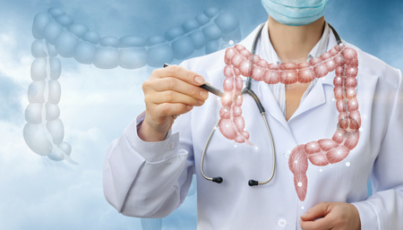 Doctor draws the model of the colon on a blue background.の写真素材