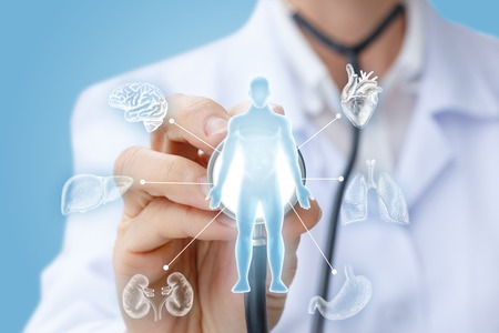 Doctor examines the internal organs on a blue background.の写真素材