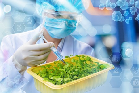 Researcher works with samples of plants on blurred background.