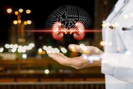 A model of kidneys surrounded by digital connections is hanging above the doctor's hand at the night...