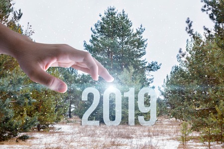 A hand is putting the shimmering numbers of future year into the middle of winter forest meadow surrounded by fluffy pine trees. The concept is the coming New Year Eve.の写真素材