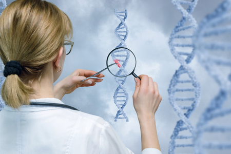 A laboratorian standing backside is holding dna model with medical clamp and examining it through a loupe . The concept of innovative technologies and investigations in medicine.の写真素材