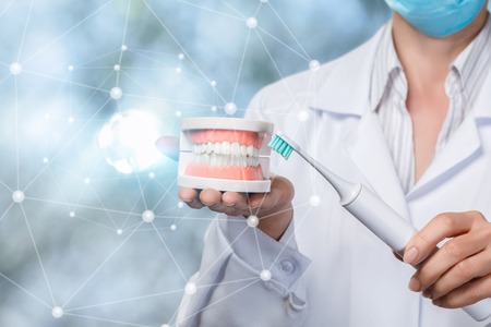 A closeup of a dentist holding an artificial jaw model and the electric toothbrush at the blurred...