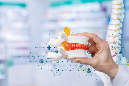 A closeup of female doctor hand with artificial herniated disc and medical service structure and spine model behind at blurred background. A concept of herniated disc and spine diseases treatment.の写真素材