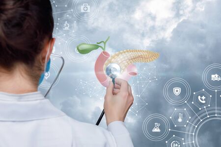 The concept study of the human pancreas.の写真素材