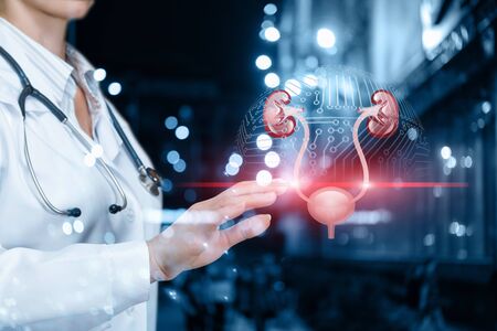 The doctor scans the urinary system on blurred background.