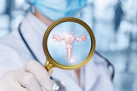 The concept of inspection of the uterus of the patient. The doctor looks the uterus using a magnifying glass.の写真素材