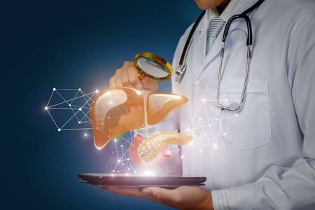 The concept study of the liver and pancreas of the patient.