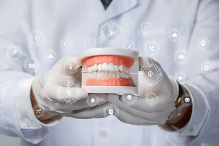 The concept of prosthetics. The doctor shows the model of the oral cavity with teeth.