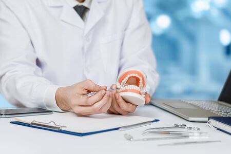 The doctor at the table shows a model of the oral cavity.