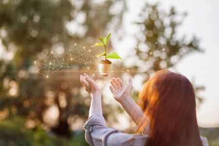 The concept of green environmental energy.A woman supports a sprout in the form of a light bulb.の写真素材